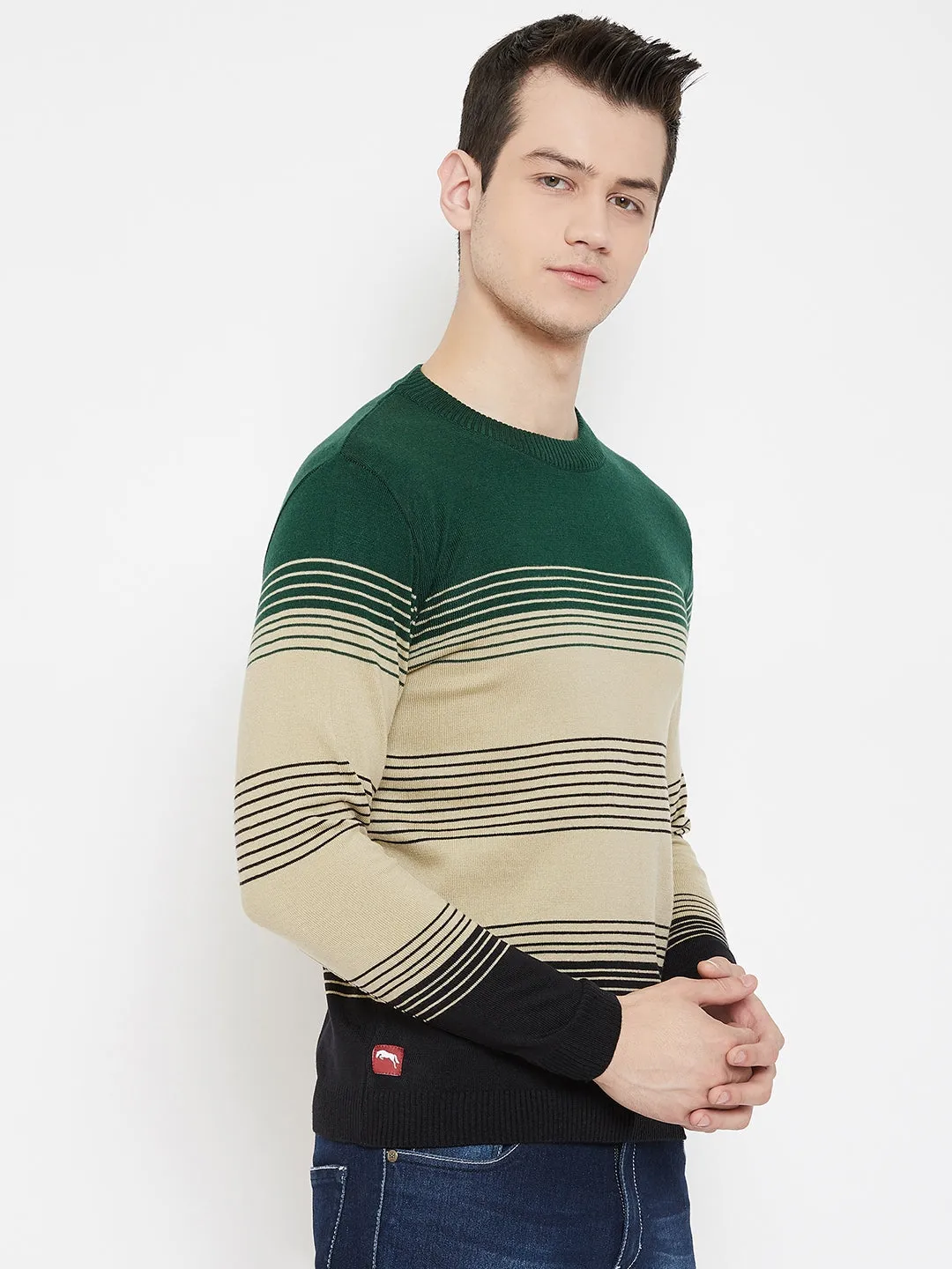 JUMP USA Men Green Striped Round Neck Casual Pullover