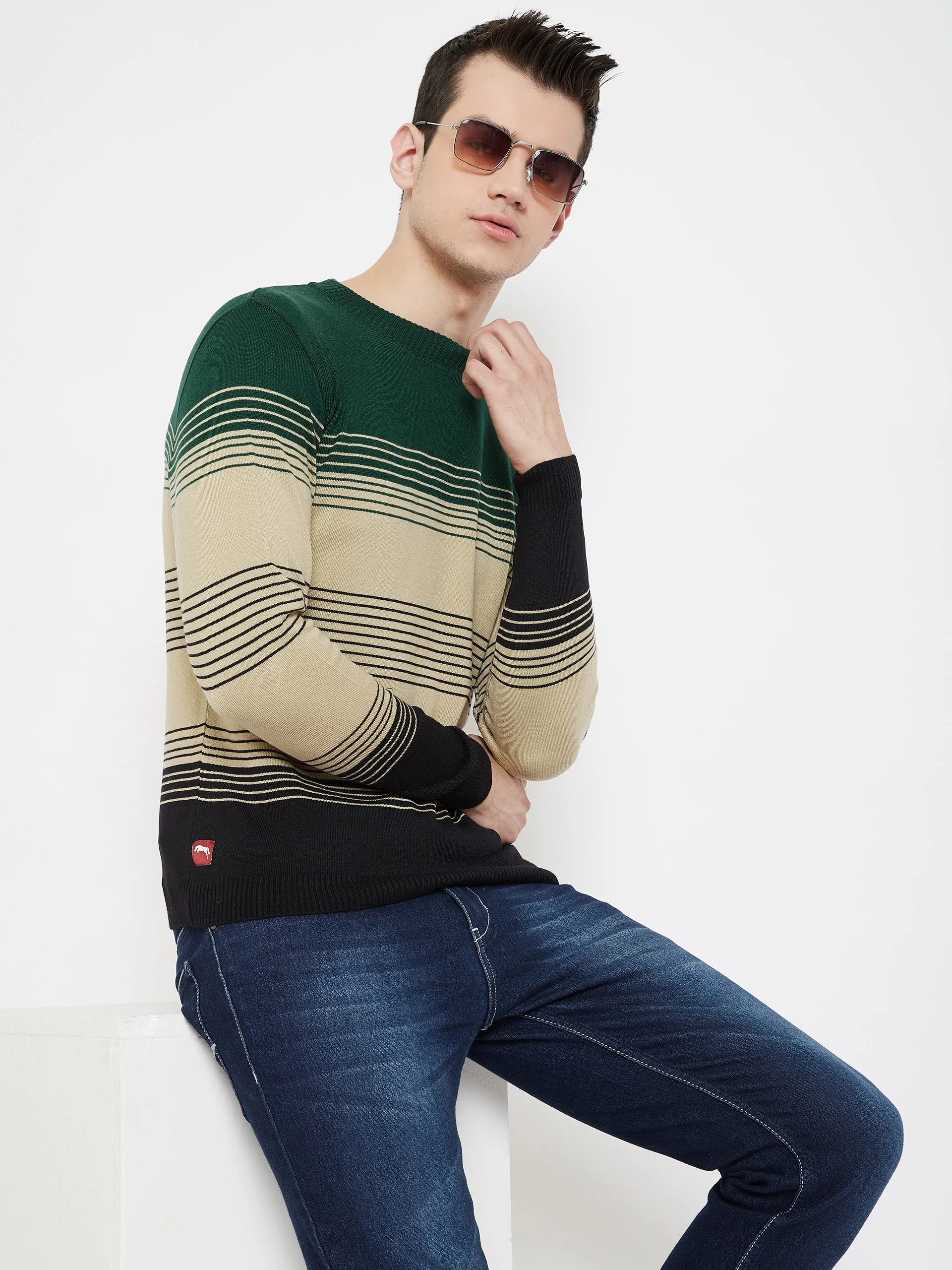 JUMP USA Men Green Striped Round Neck Casual Pullover