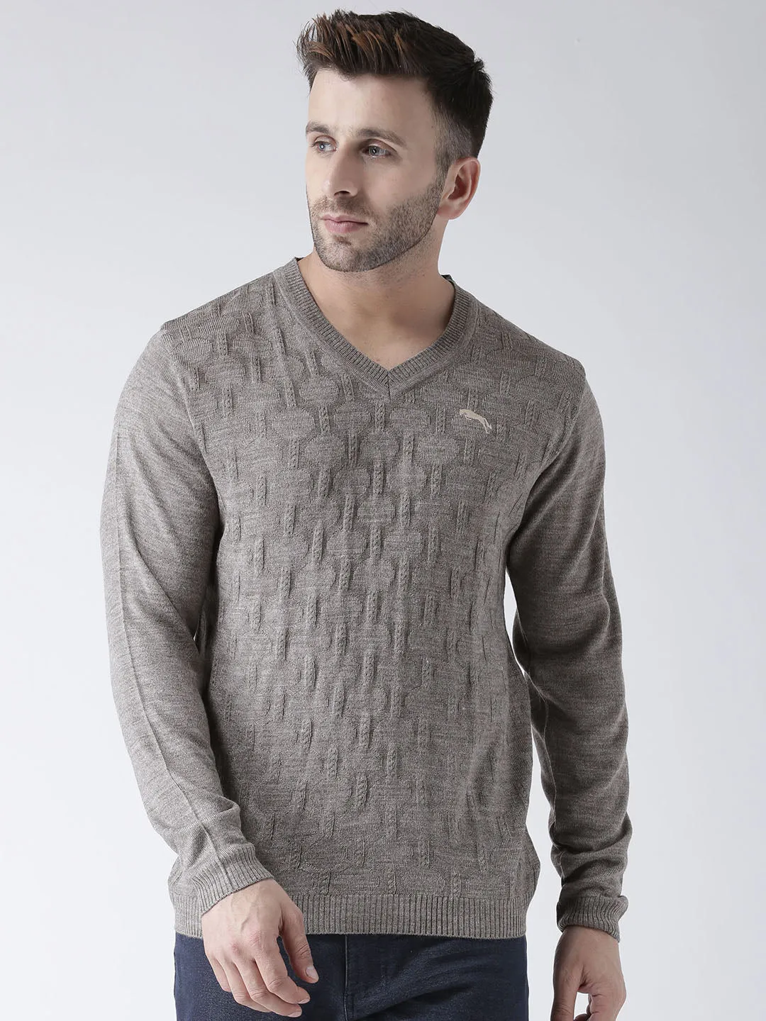 Men Beige self Design Pullover