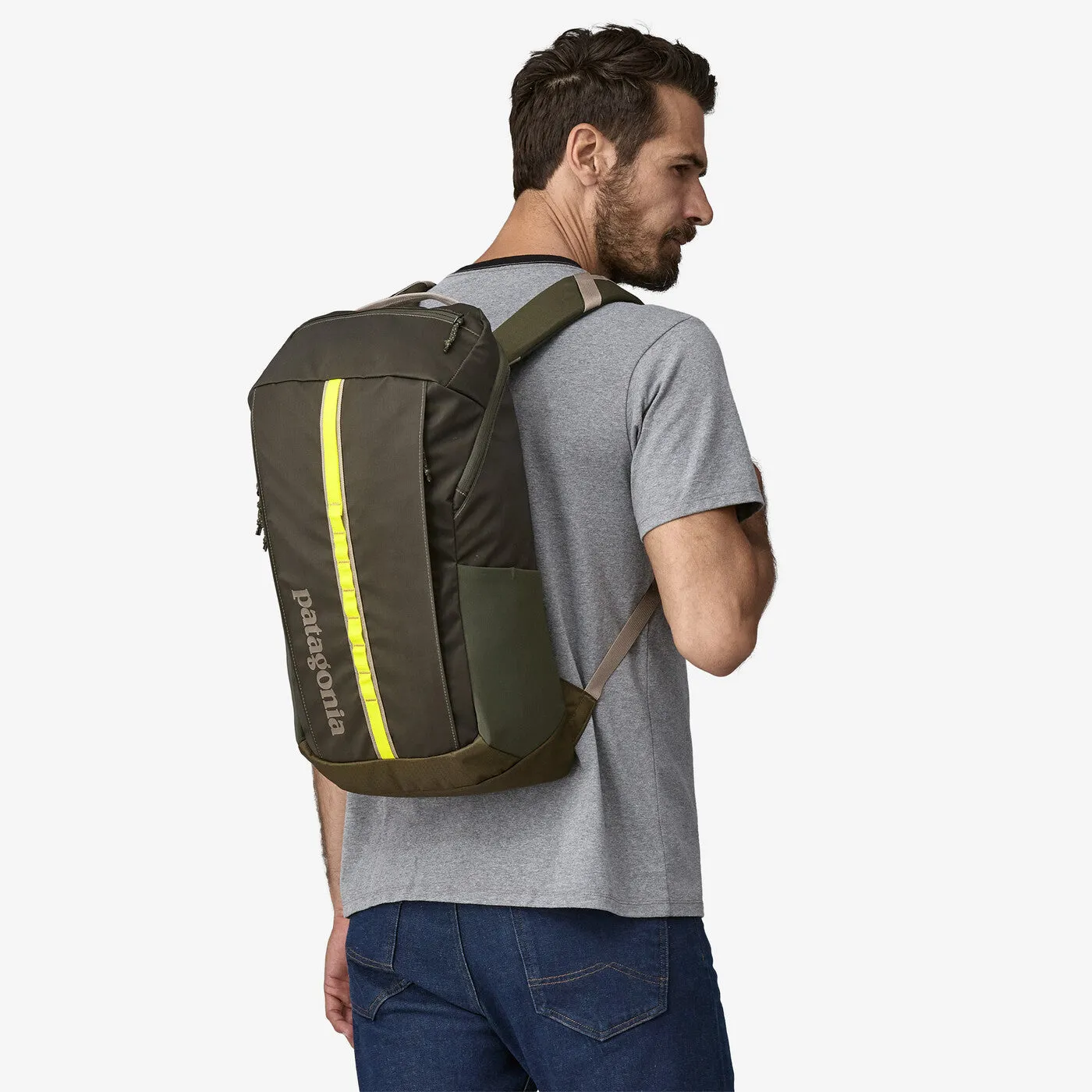 Patagonia - Black Hole Pack 25L - Pine Needle Green