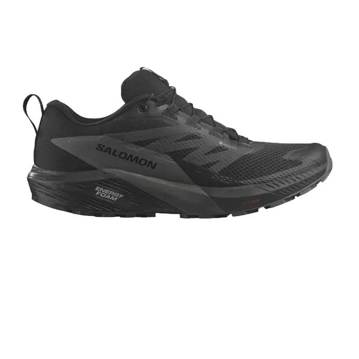 SALOMON 471472 SENSE RIDE 5 GTX BLACK