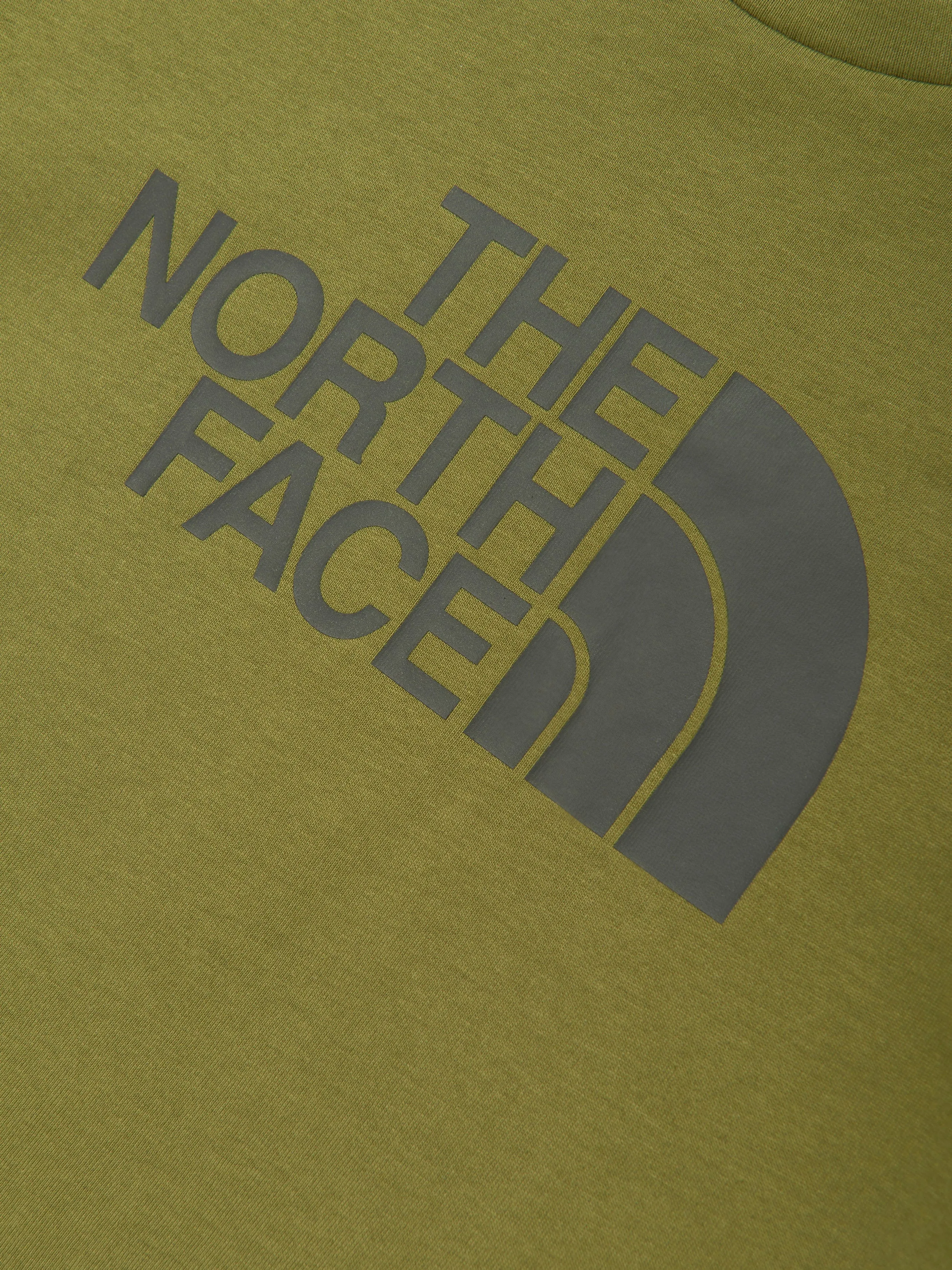 The North Face Boys Easy T-Shirt in Green