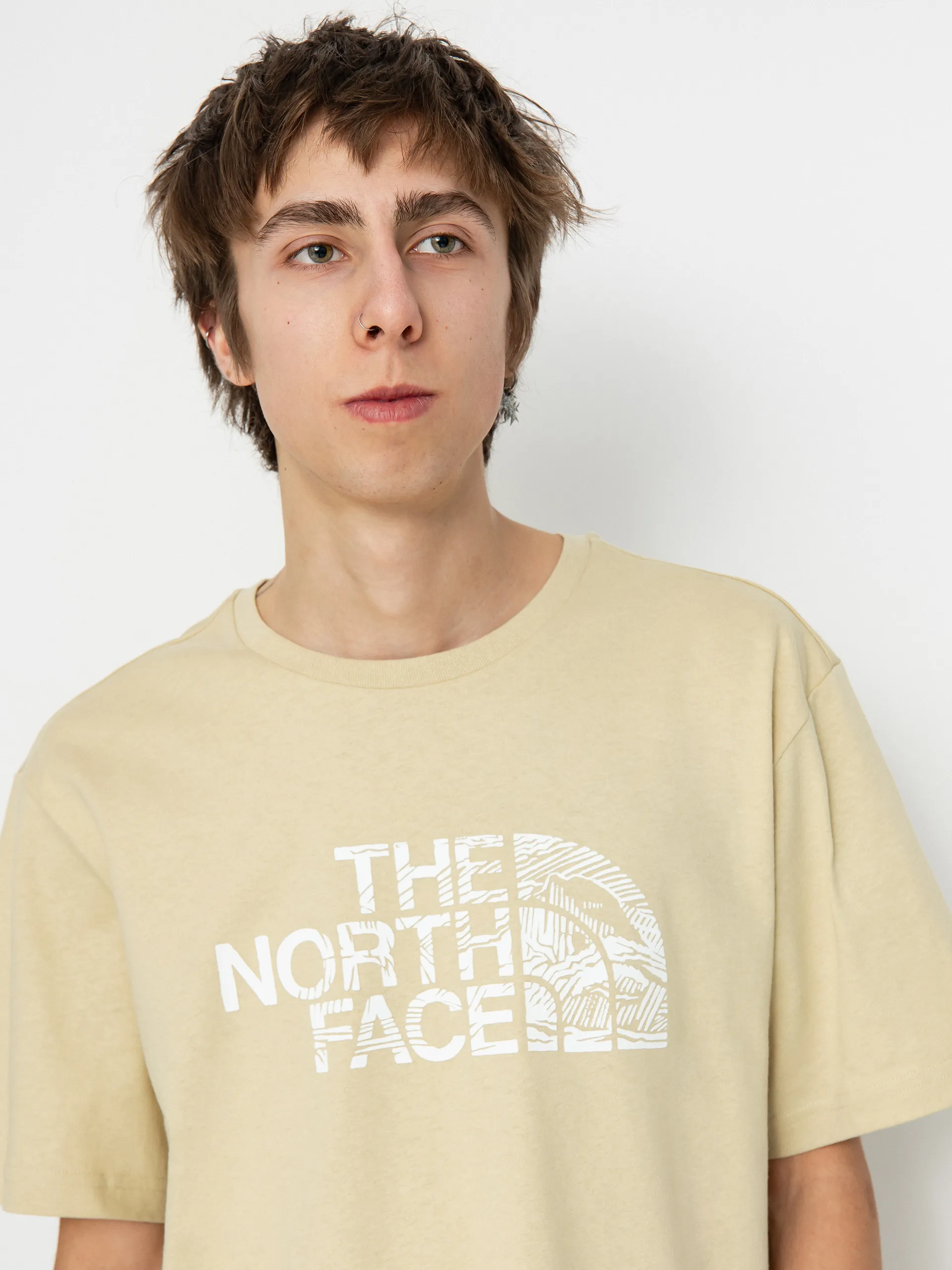 The North Face T-Shirt Woodcut Dome (gravel)